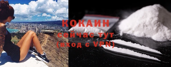 трава Белокуриха