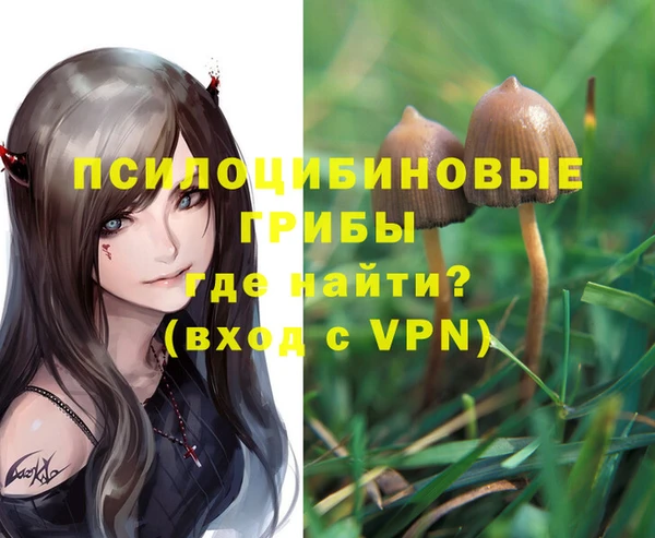 гидра Беломорск