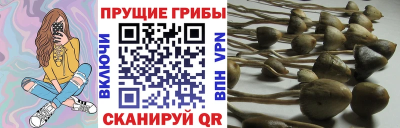 Псилоцибиновые грибы MAGIC MUSHROOMS  ОМГ ОМГ как зайти  Томилино 